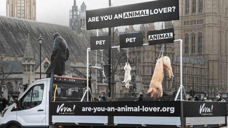 Viva! ‘Are You An Animal Lover?’ campaign in London, England