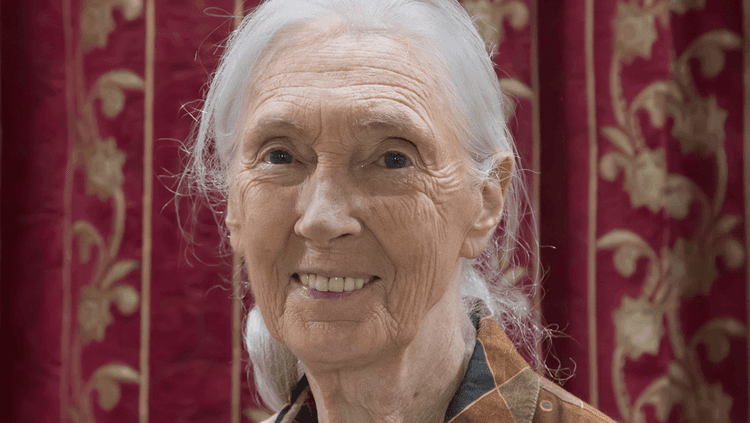 Jane Goodall smiling in front of a red curtain